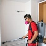 Oahu Mold Removal Services