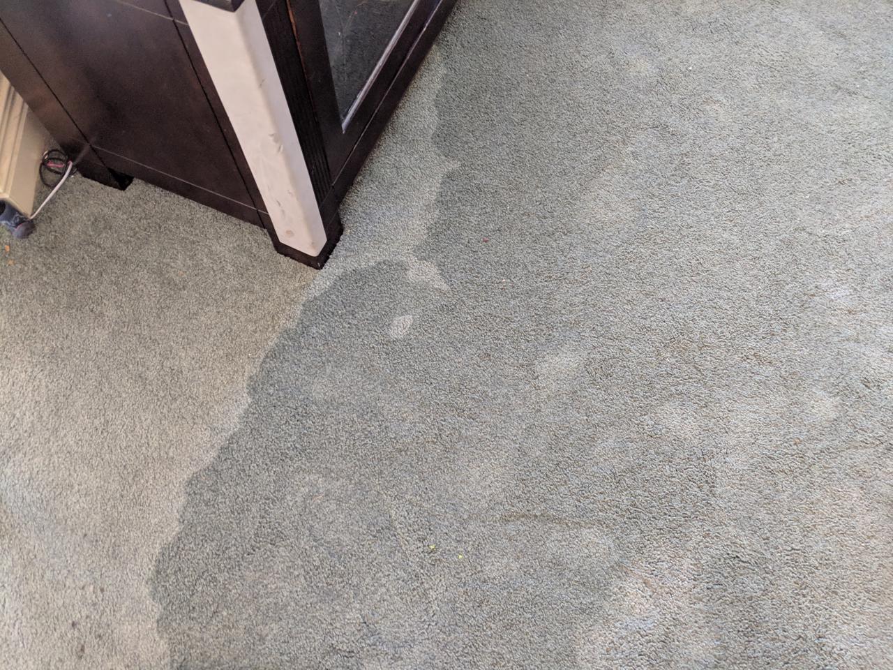 Should Carpet Be Replaced After Water Damage?