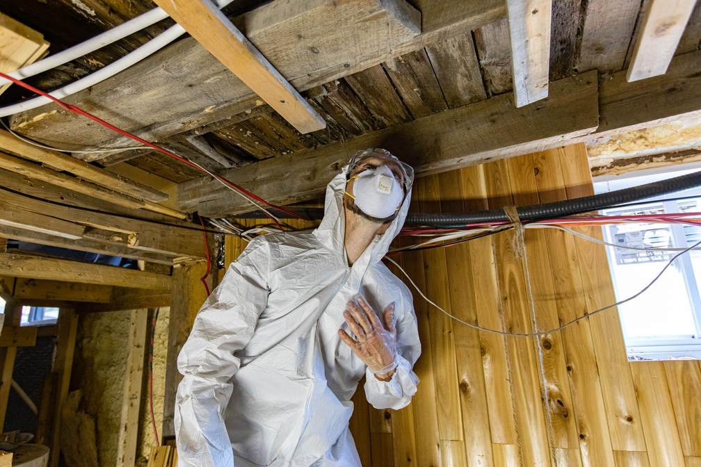 Hidden Areas Mold Can Grow In Your Hawaii Home