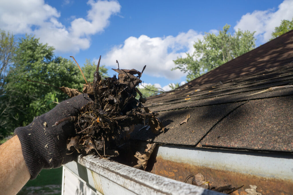 How To Prepare Your Hawaii Home For Hurricane Season