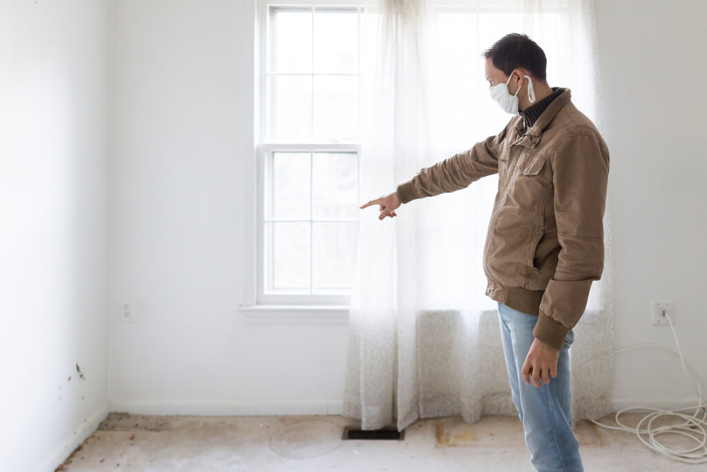 How To Identify Mold In Your Home And What To Do About It
