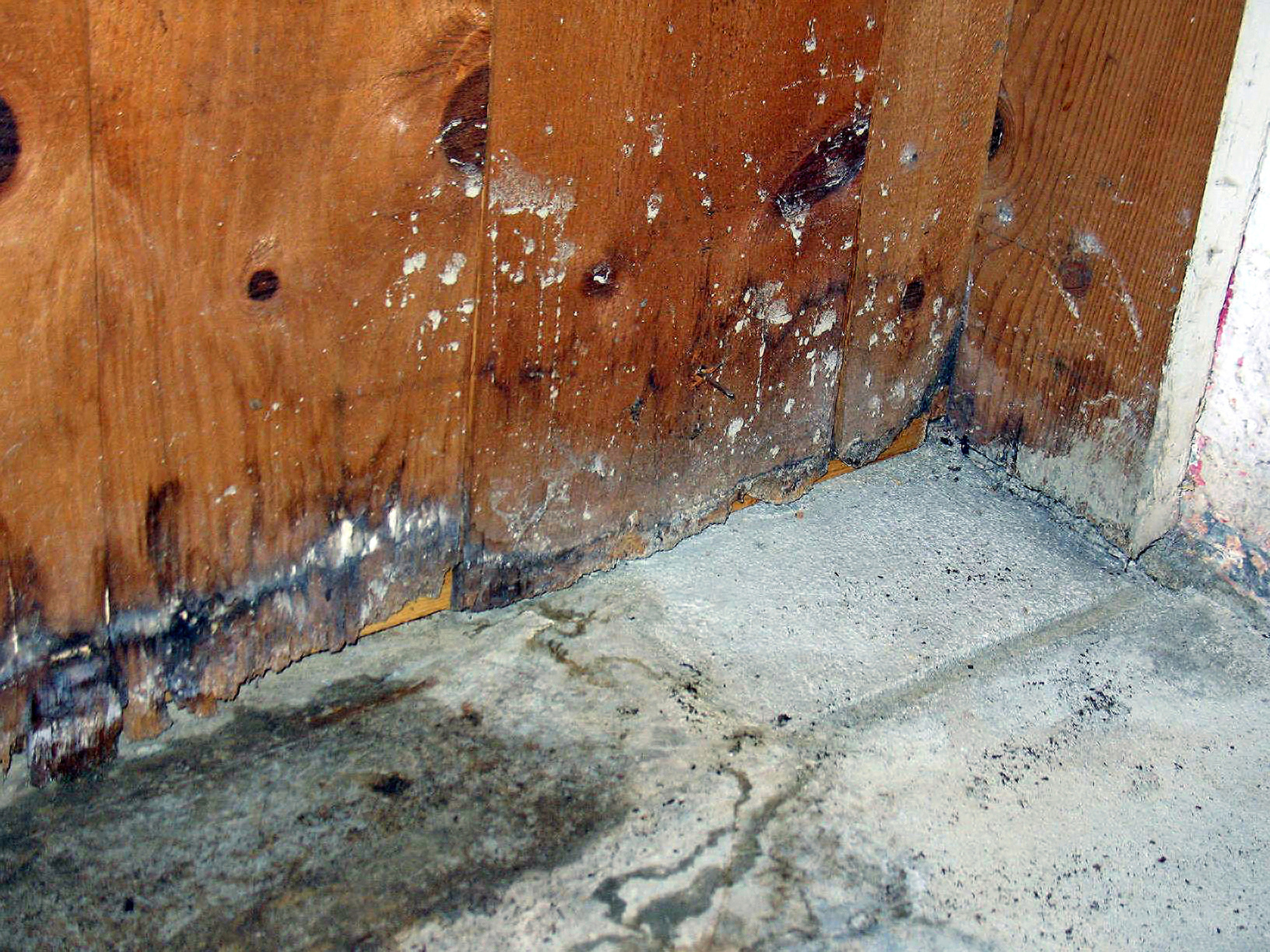 Hidden Dangers Of Home Water Damage