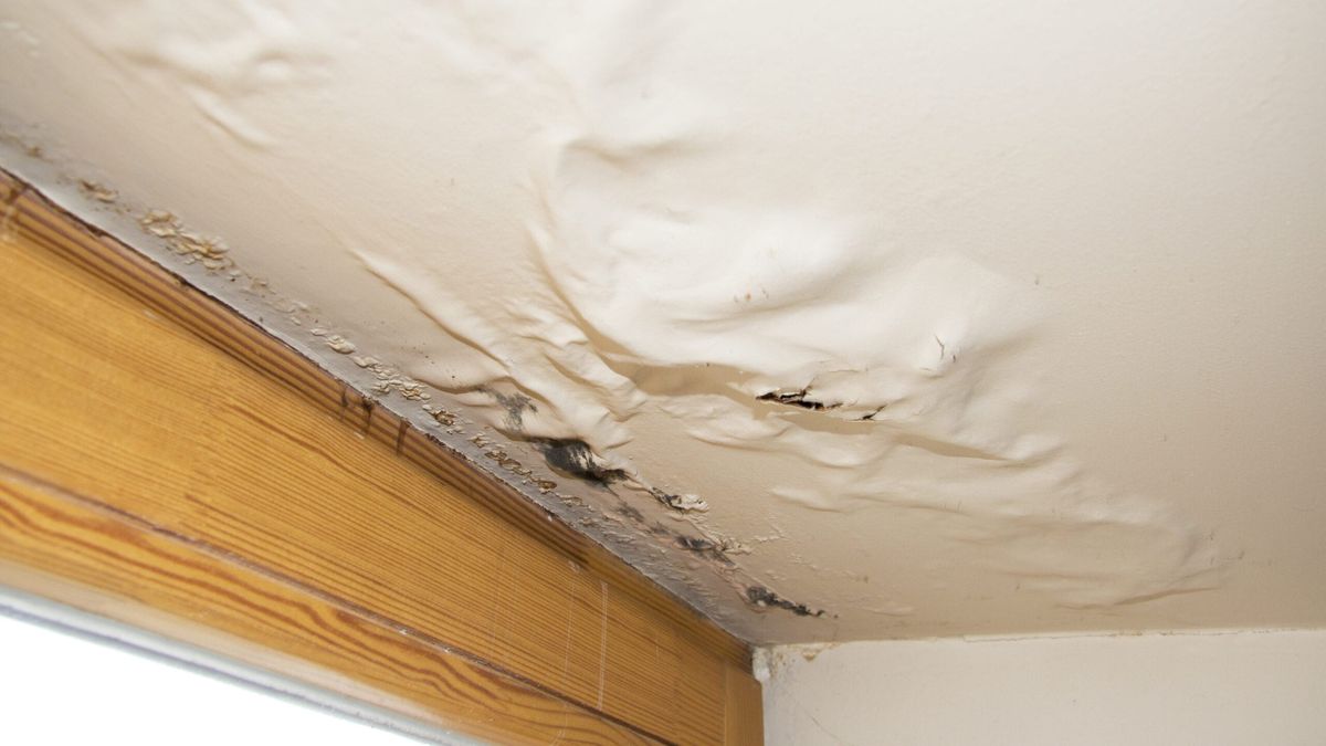 Sagging, water-stained ceiling drywall above a window, found during an on-site water damage assessment.