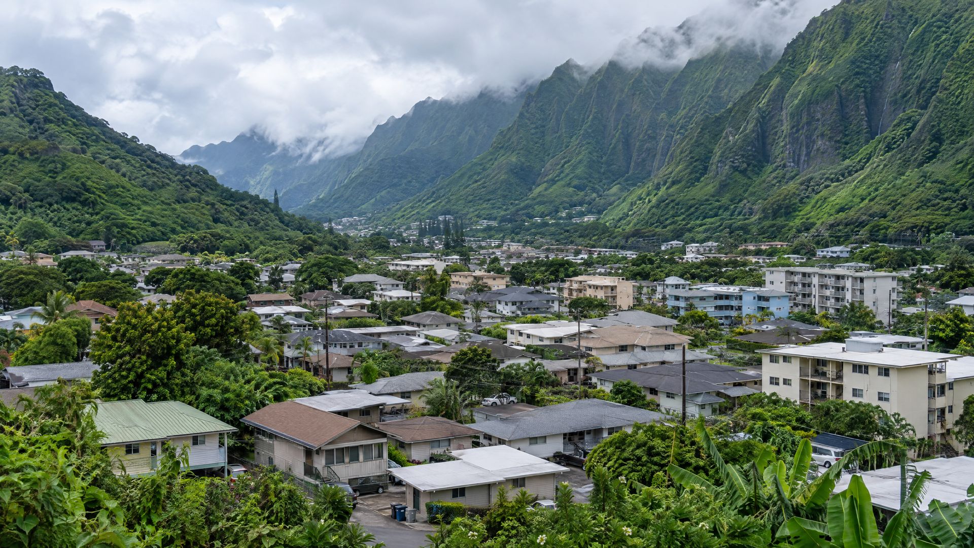Homes and low apartment buildings on the Kalihi Valley floor beneath steep green Ko'olau ridges.