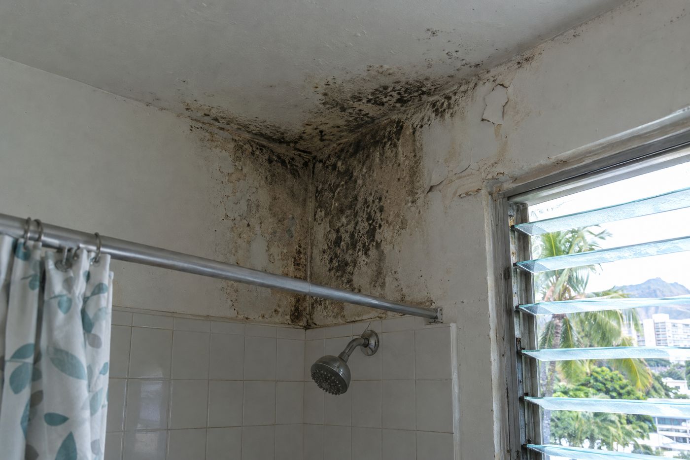 Dark mold spreading across the ceiling corner above a shower in a Honolulu bathroom.